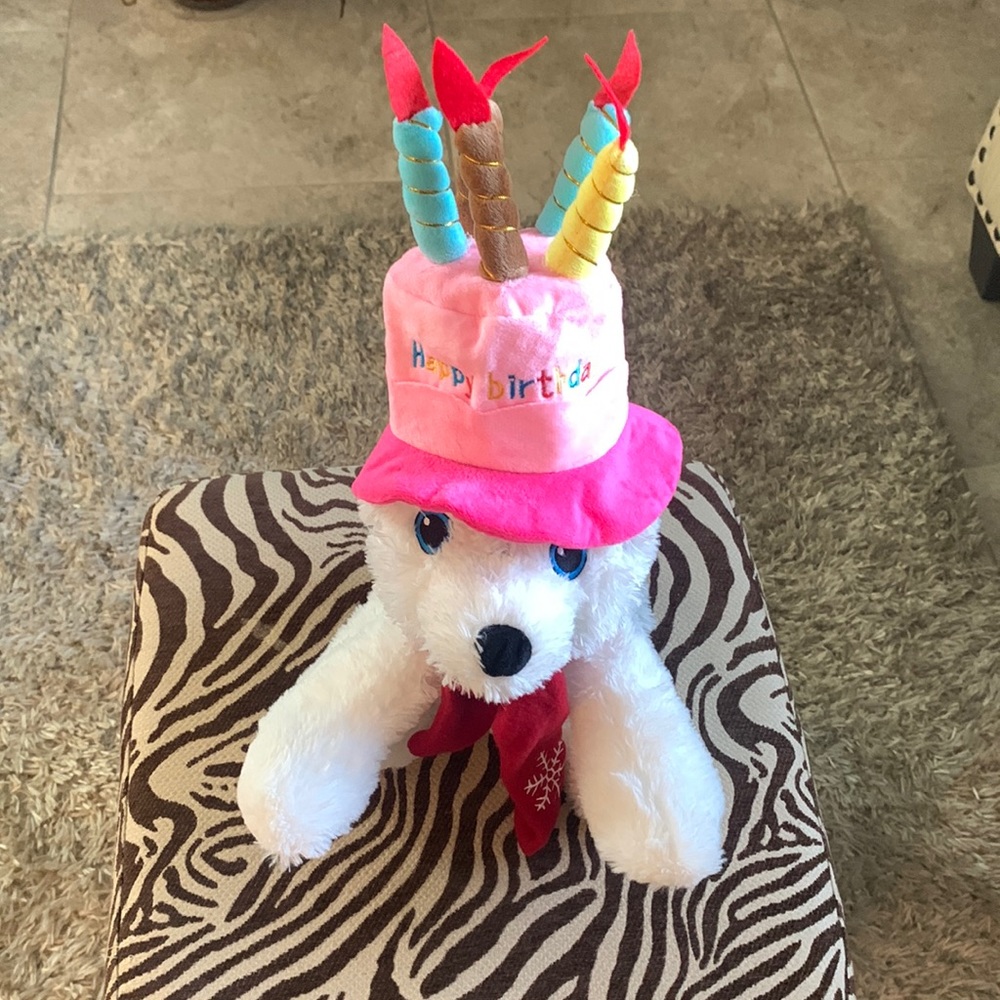 Never Worn! Small Dog Happy Birthday Hat